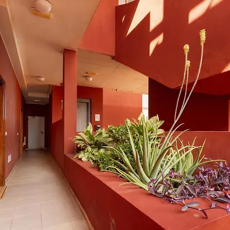 Vacaciones Inolvidables En Gavade Puertito de Guimar