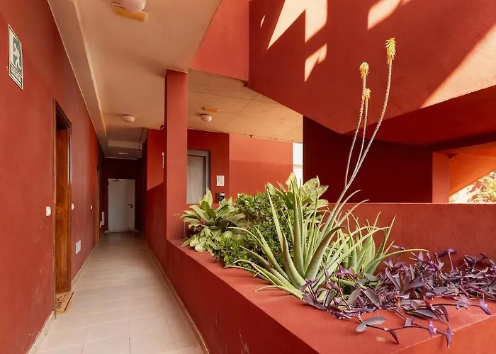 Vacaciones Inolvidables En Gavade Puertito de Güímar